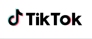 TikTok's excellent caption generator for videos