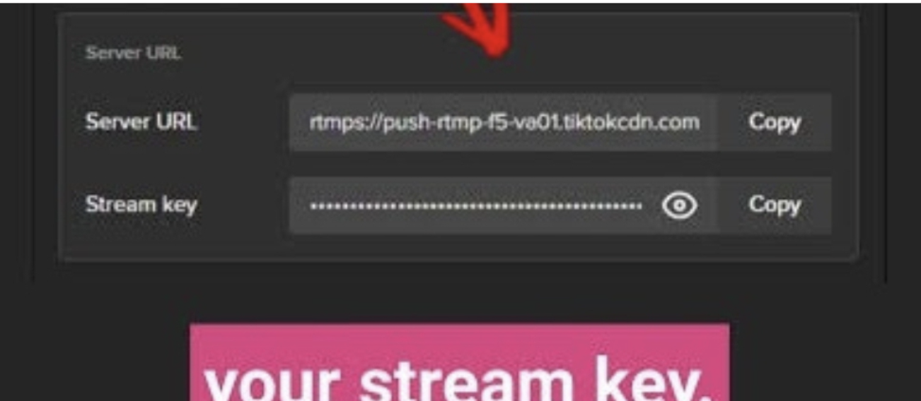 Copy stream How to go live on TikTok key